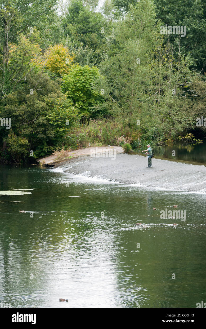 Coarse fishing uk hi-res stock photography and images - Alamy