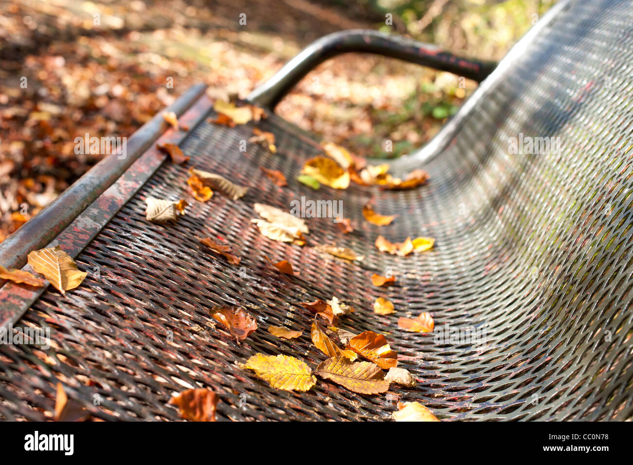 Autumn leaves on Bench Stock Photo