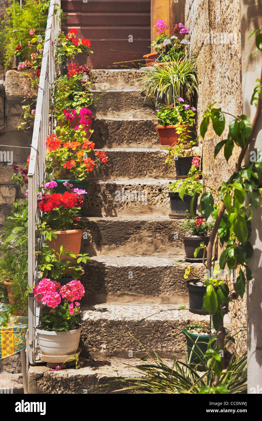 Detail view of a staircase with colorful flowers in the old town of Trogir, Dalmatia, Croatia, Europe Stock Photo