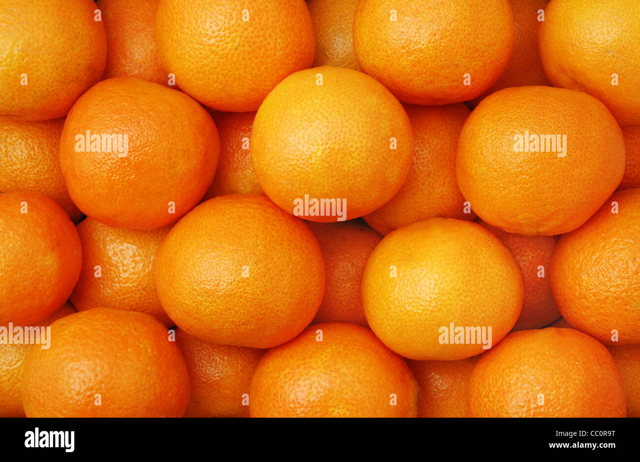 mandarin oranges clementines mandarin oranges clementines
