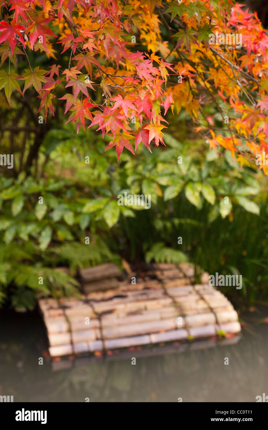 Autmn or fall colour by a stream in the grounds of Tenryu-ji temple at Arashiyama, on the outskirts of Kyoto, Japan. Stock Photo