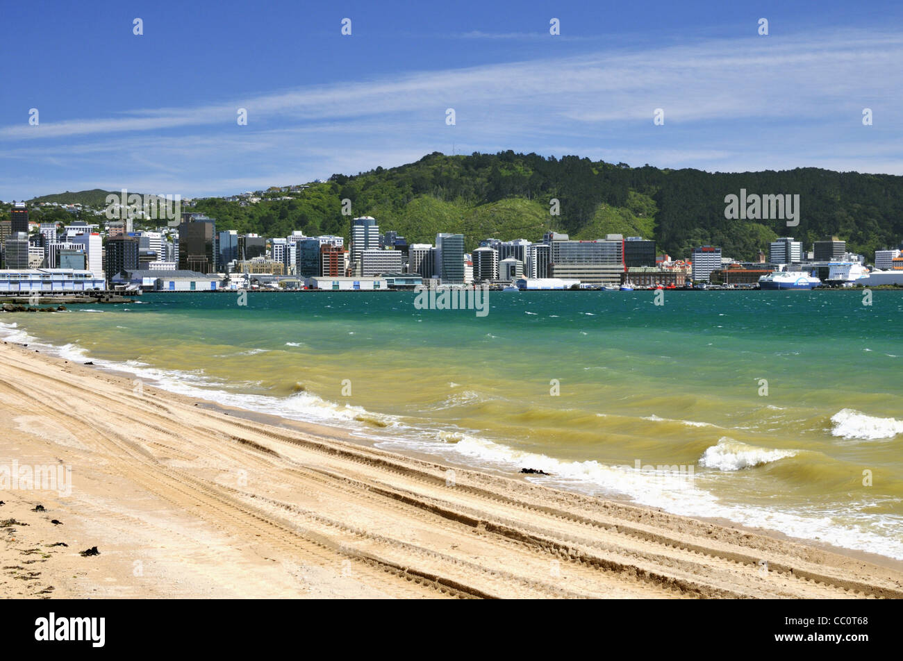 Wellington city skyline viewed across Oriental Bay from the beach, New Zealand. Stock Photo