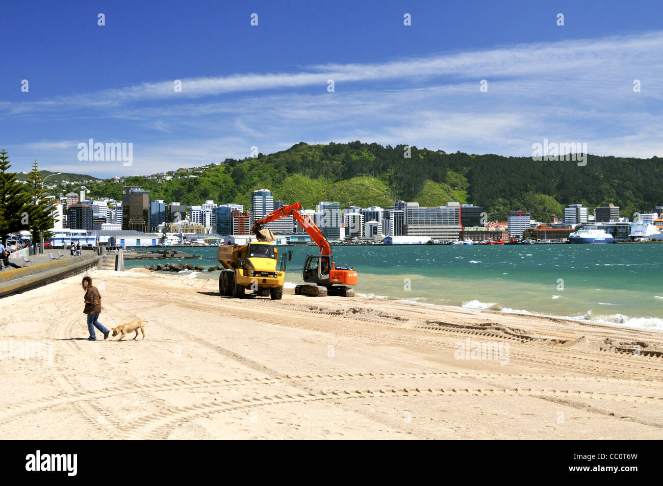 Woman walking her dog on a quiet Oriental Bay beach while digger dredge sand for beach replenishment, Wellington, New Zealand. Stock Photo