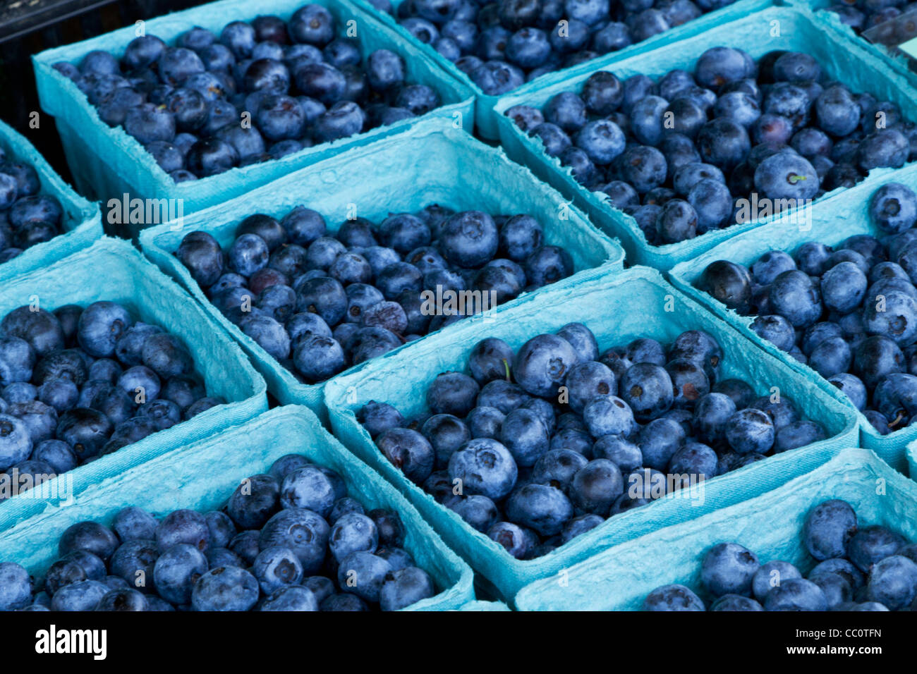 Freshpicked blueberries in blue, recyclable containers. Farm fresh at Hunterdon Farmer's Market