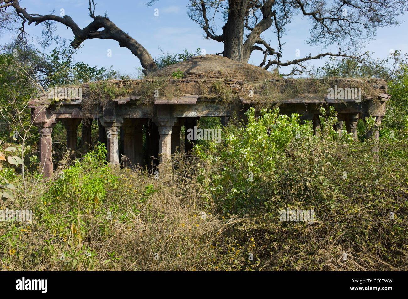 Hunting Lodge ruins by the entrance to Ranthambhore National Park, Rajasthan, Northern India Stock Photo