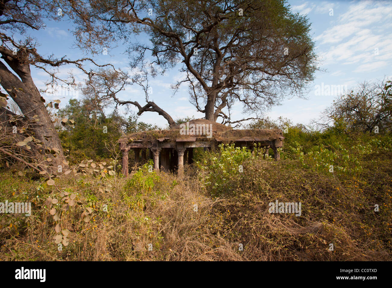 Hunting Lodge ruins by the entrance to Ranthambhore National Park, Rajasthan, Northern India Stock Photo