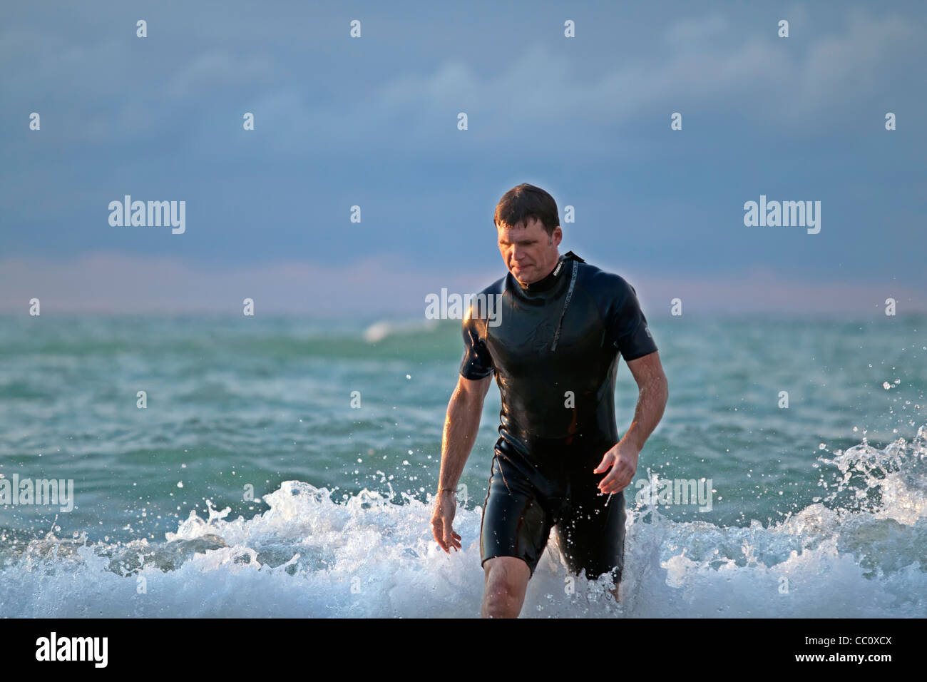 Sexy man in wet suit walking out of the waves Stock Photo - Alamy