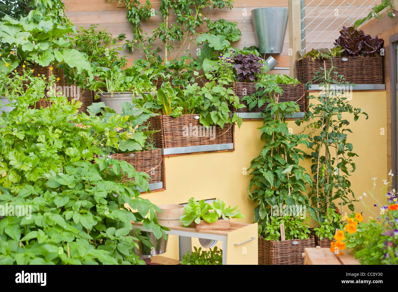 Raised beds on stairs in contemporary garden. Stock Photo