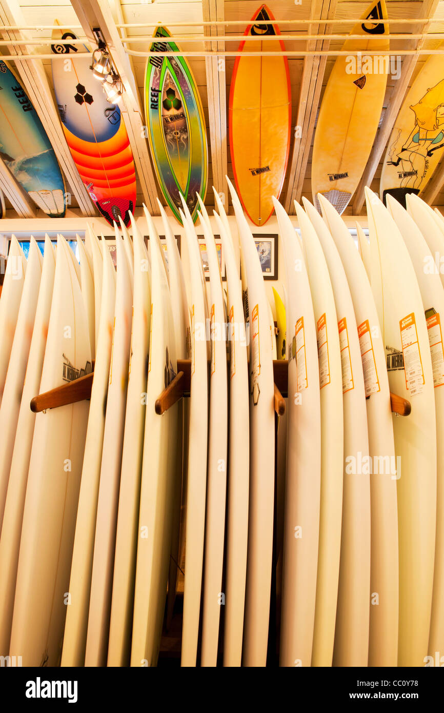 surfboards and surfboard ceiling at Channel Islands Surfboards, Oreana
