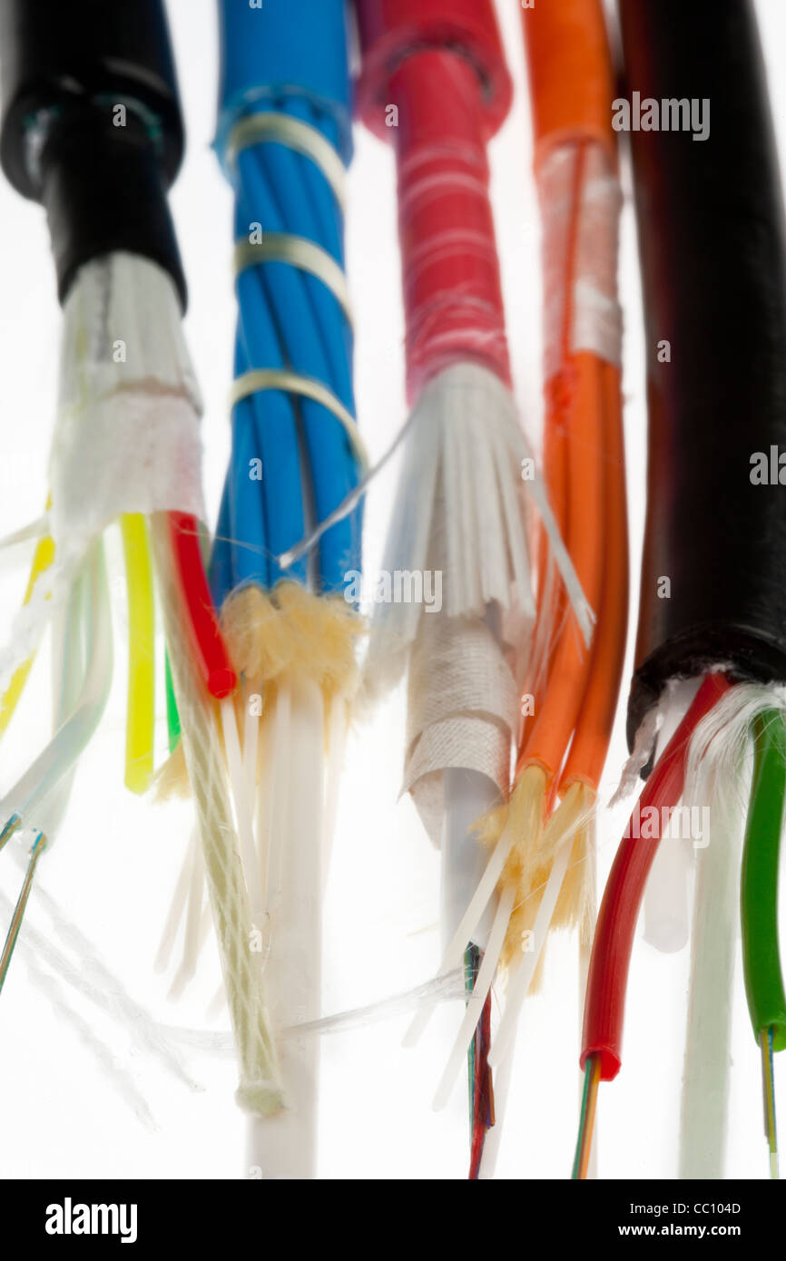 Various different types of fibre optic cable Stock Photo Alamy