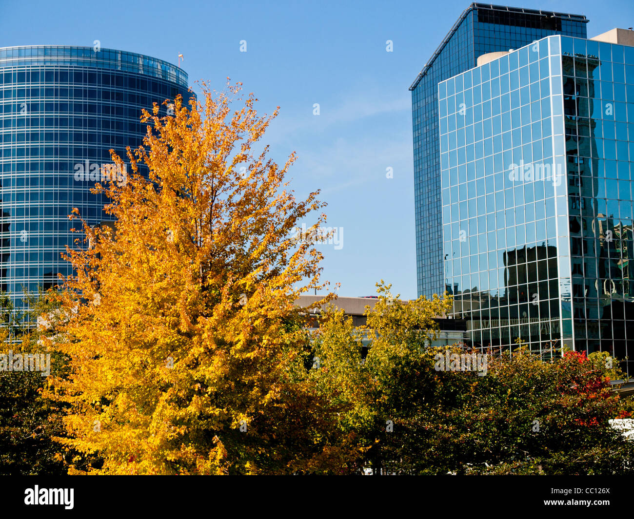 Downtown Grand Rapids Michigan USA on an autumn day. There are