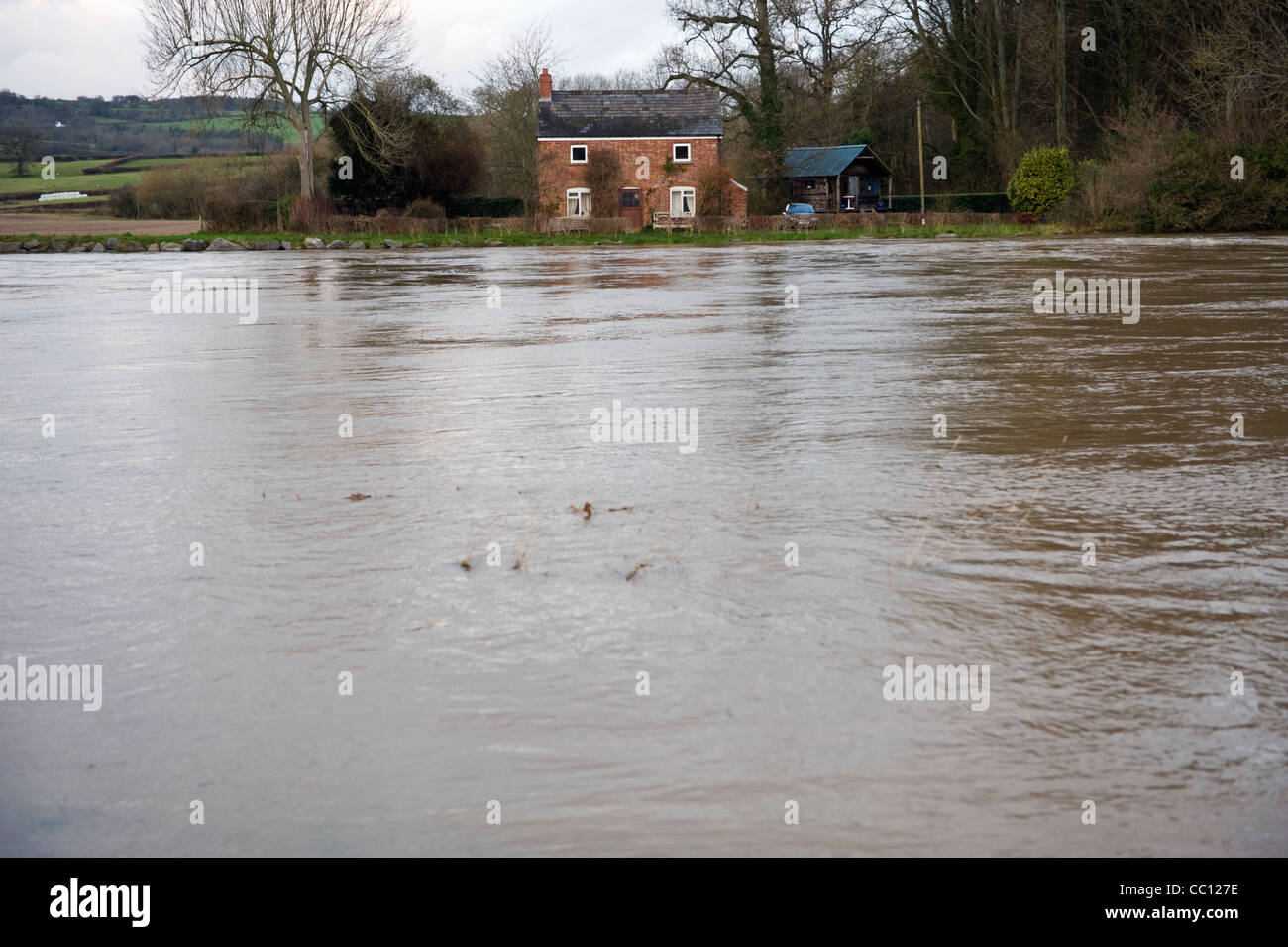 Idyllic cottage on riverbank with River Wye in full winter flood at The Warren Hay-on-Wye Powys Wales UK Stock Photo