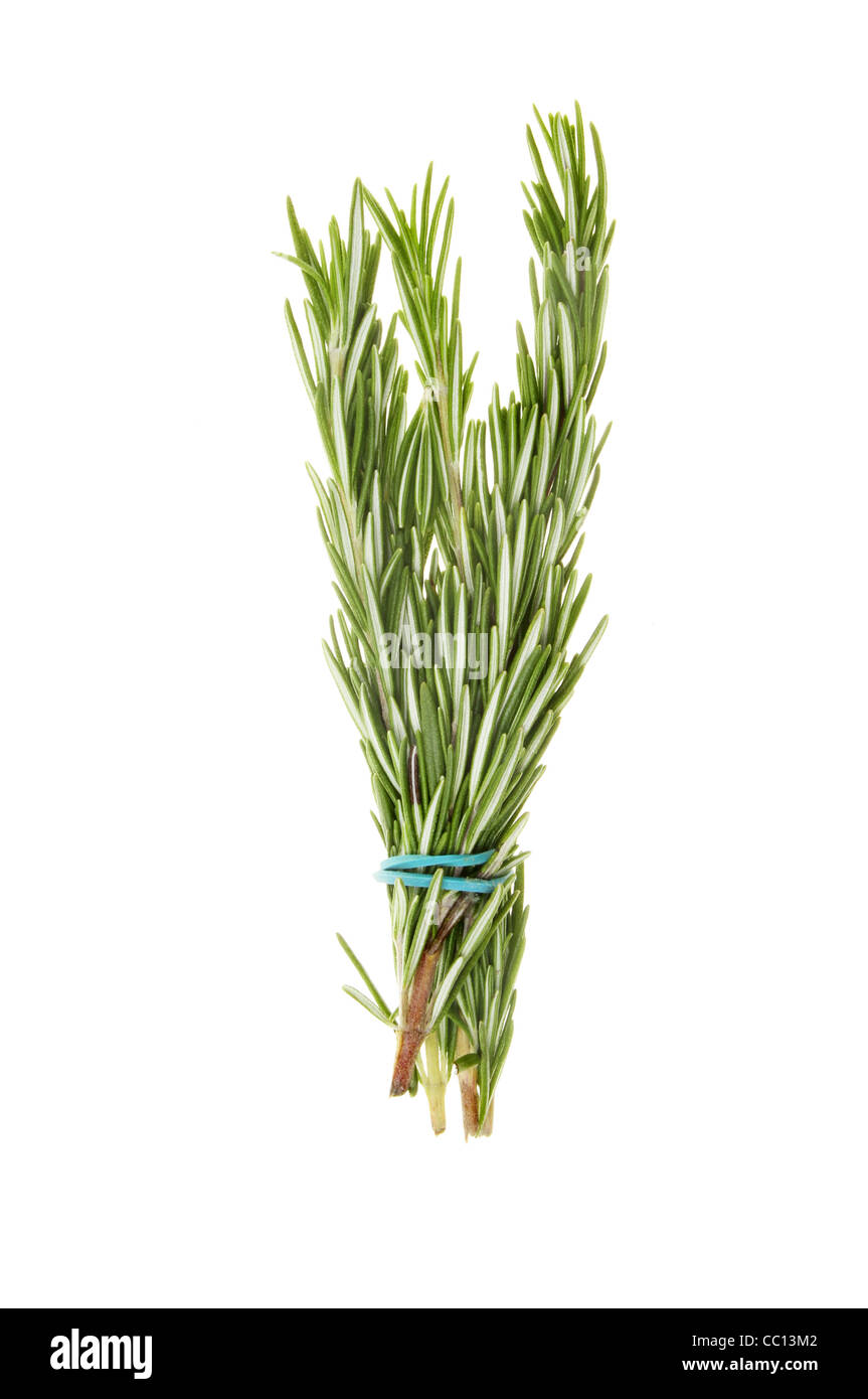 Bunch of rosemary herb leaves isolated against white Stock Photo