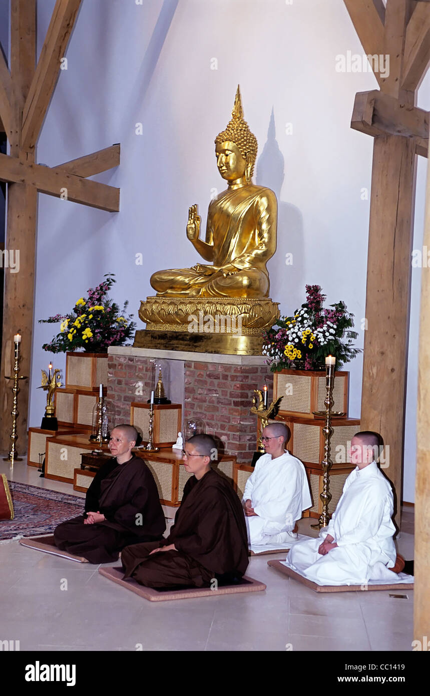 Nuns at Amaravati Buddhist Monastery, Hertfordshire, UK Stock Photo Alamy
