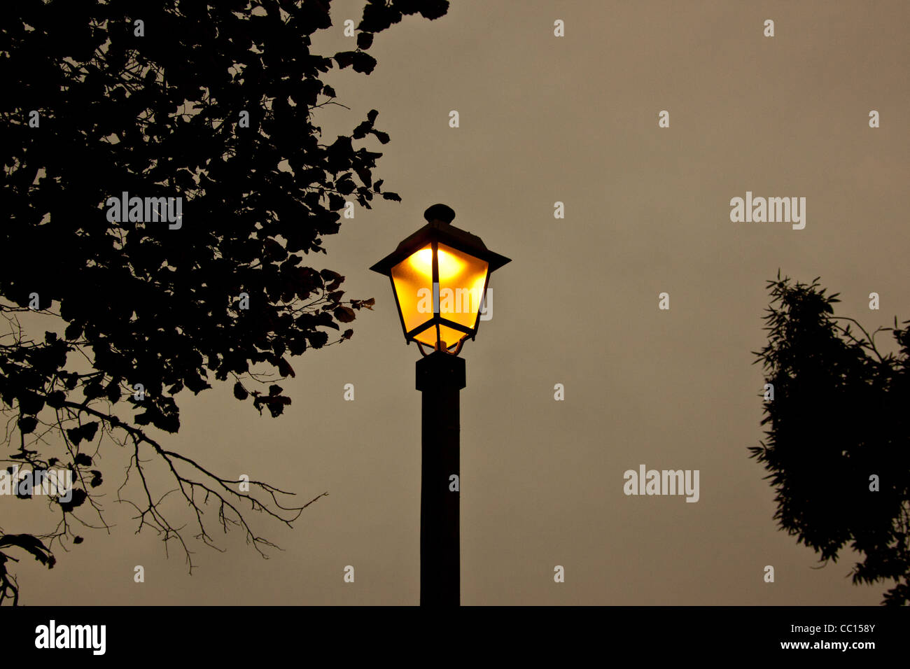 Lamp post at night Stock Photo Alamy