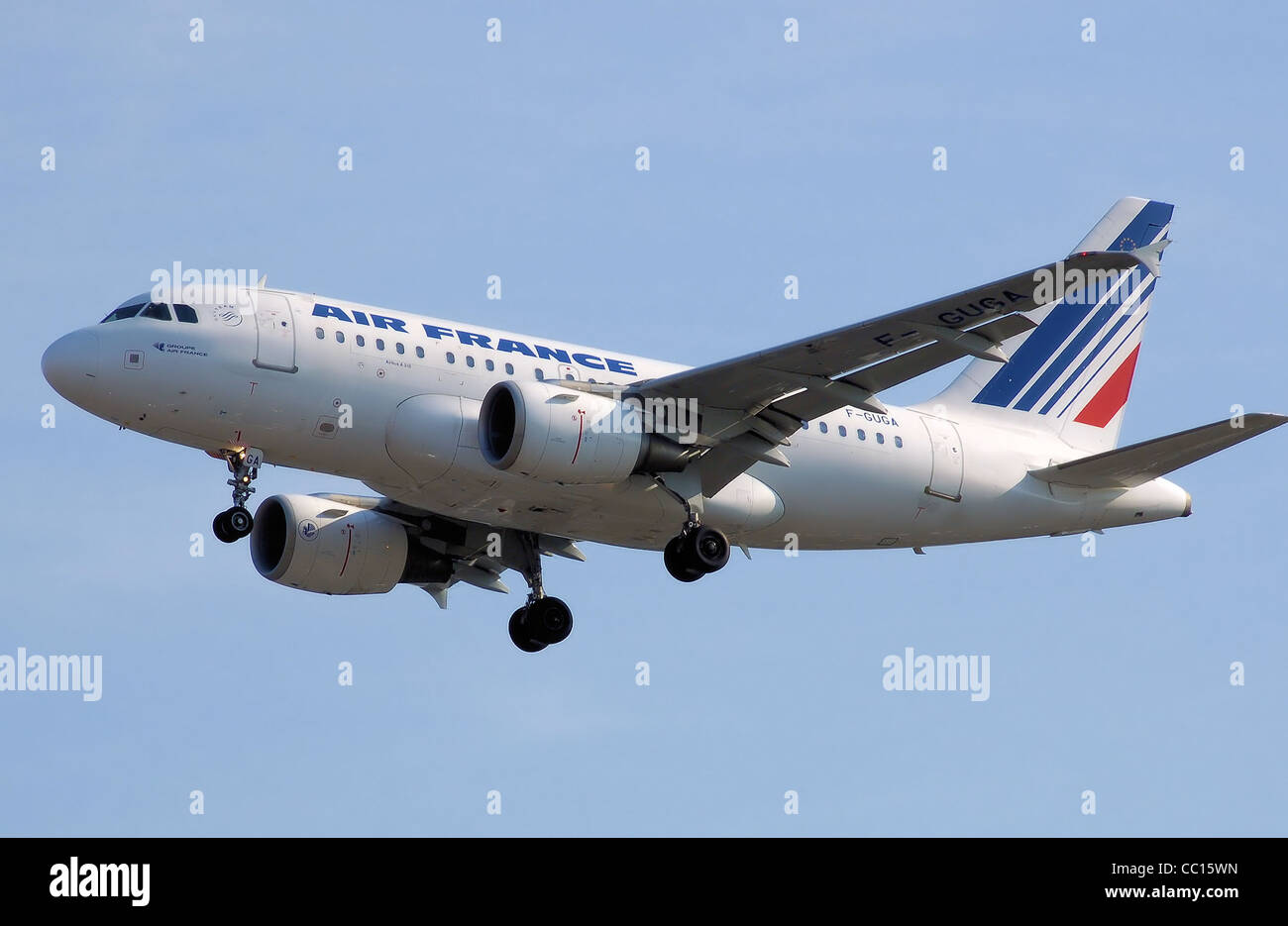 Air France Aviationtag A319-100 コンビ色 Air France A319 performs rejected takeoff due to bird strike