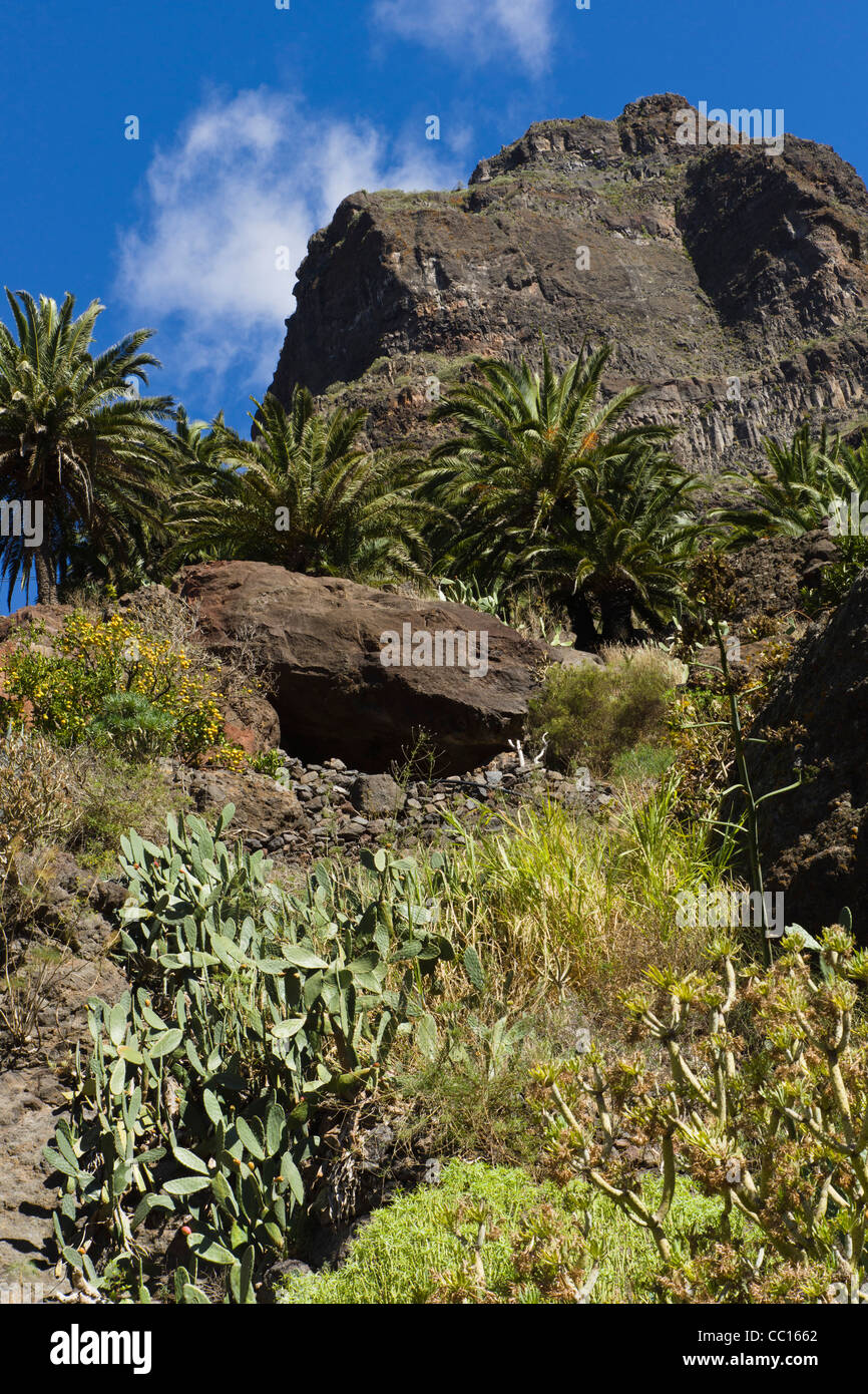 Masca, mountain showcase tourism village in Buenavista del Norte region of Tenerife. Stock Photo
