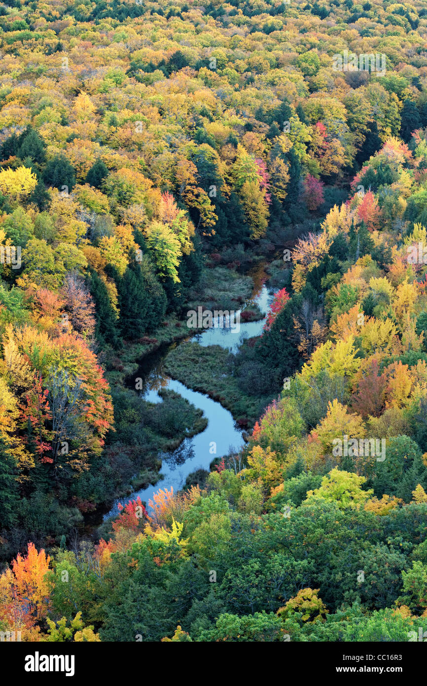 The Carp River and the autumn canopy of Ottawa National Forest and