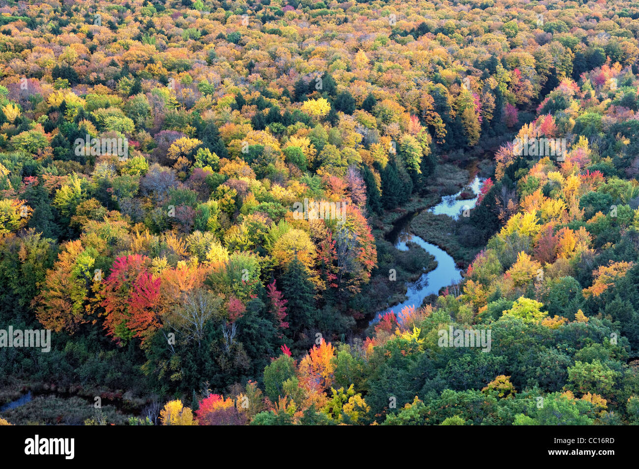 The Carp River and the autumn canopy of Ottawa National Forest and Porcupine Mountains State Park in Michigan's Upper Peninsula. Stock Photo