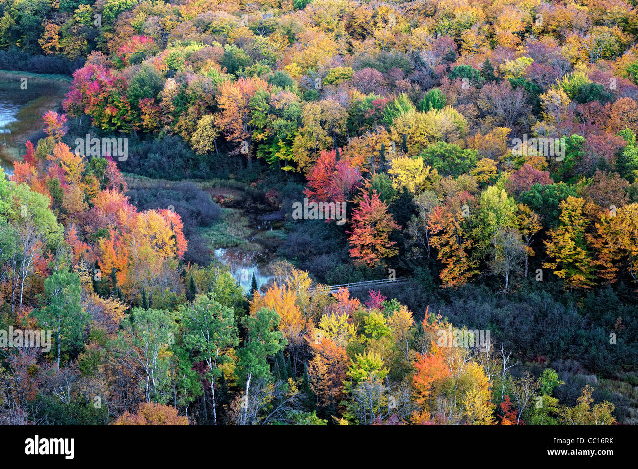 The Carp River and the autumn canopy of Ottawa National Forest and