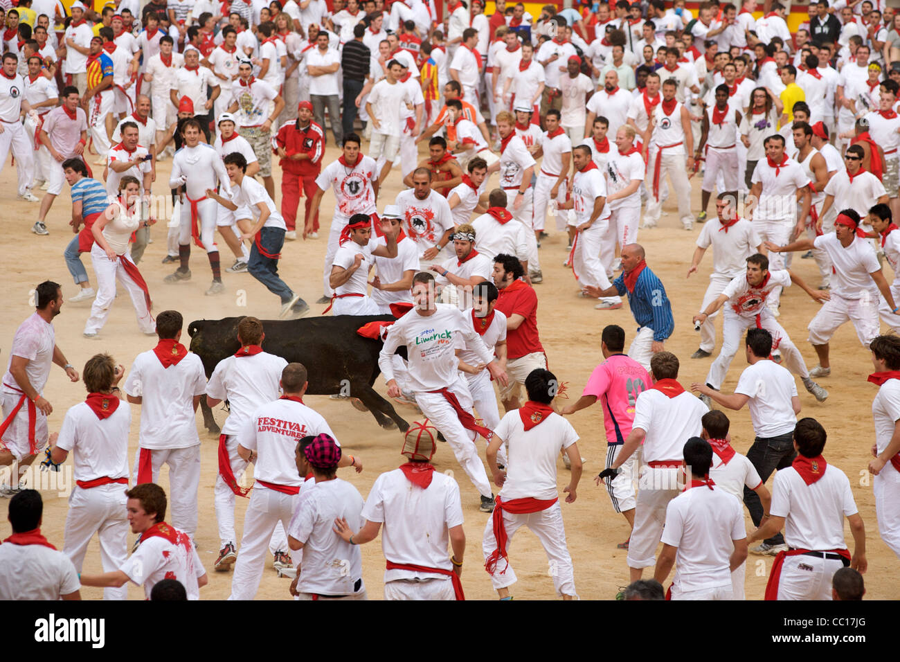 Crowds of people being chased by a cow in the bull ring at the festival of San Fermin in Pamplona, Spain. Stock Photo