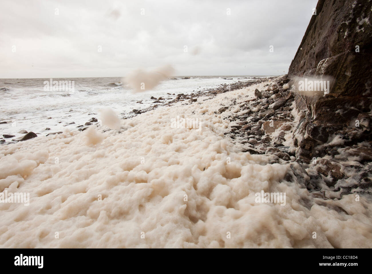 Spume created by storm force winds in Whitehaven,Cumbria,UK. Stock Photo