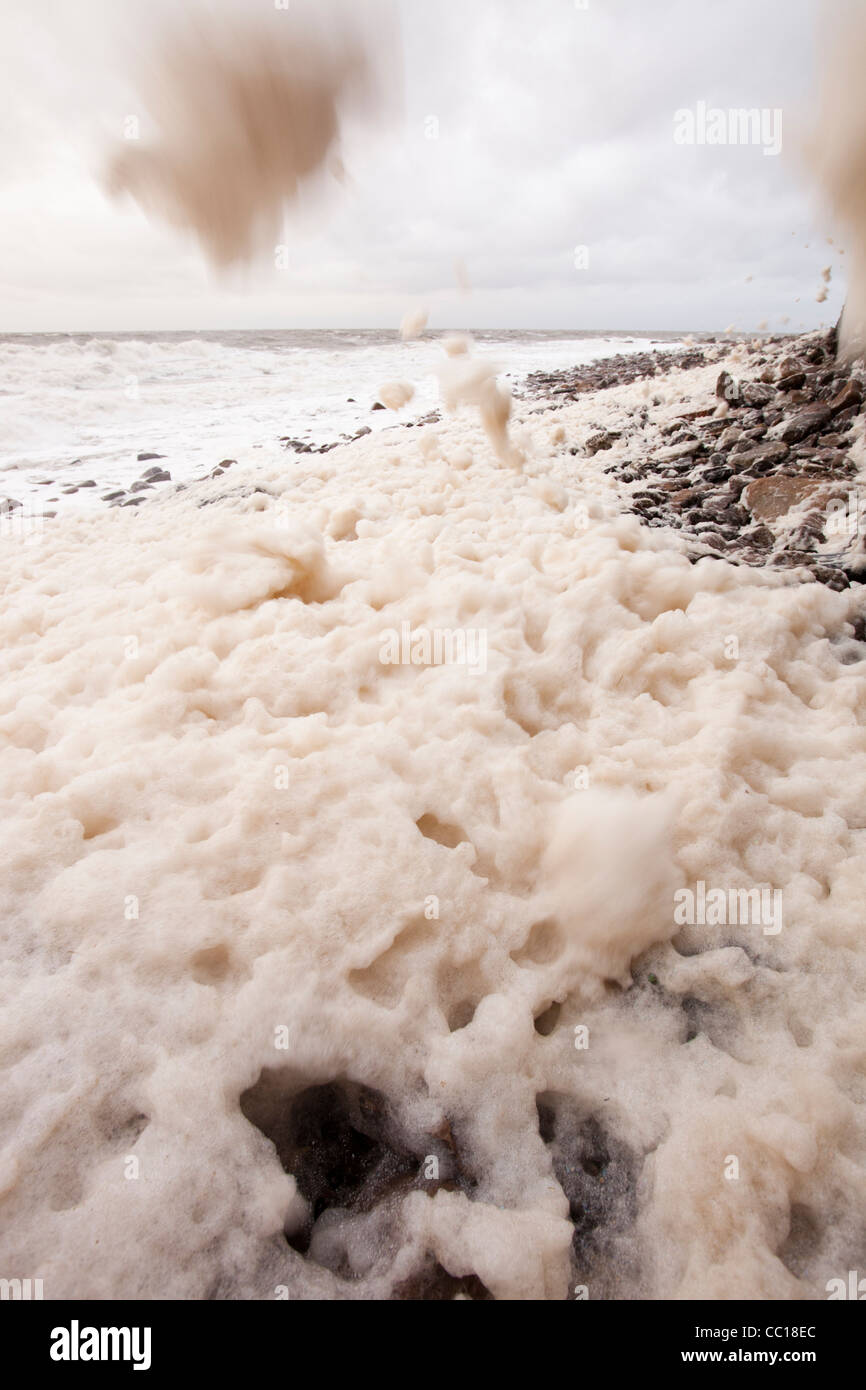 Spume created by storm force winds in Whitehaven,Cumbria,UK. Stock Photo
