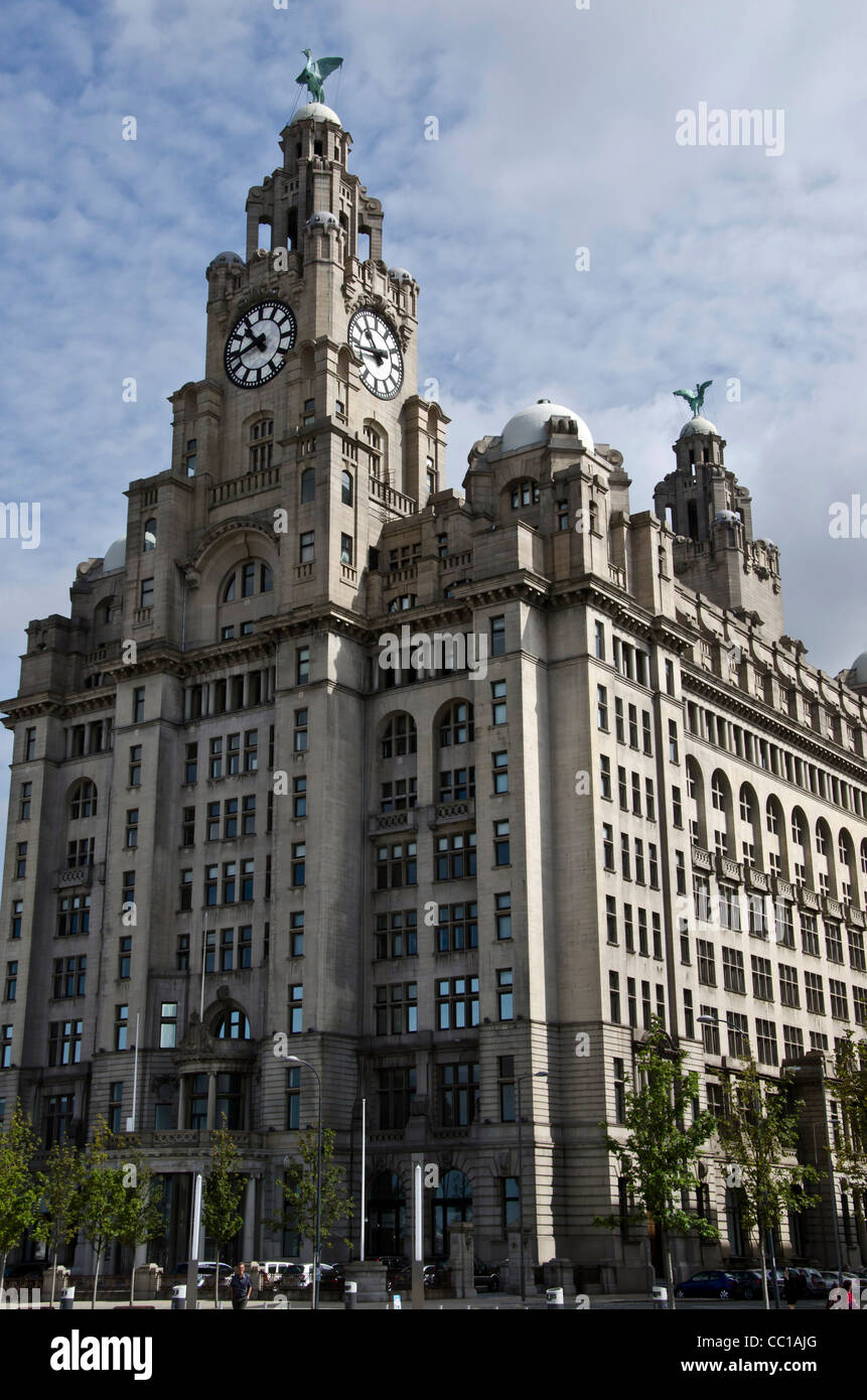 The Liver Building in Liverpool, England Stock Photo Alamy