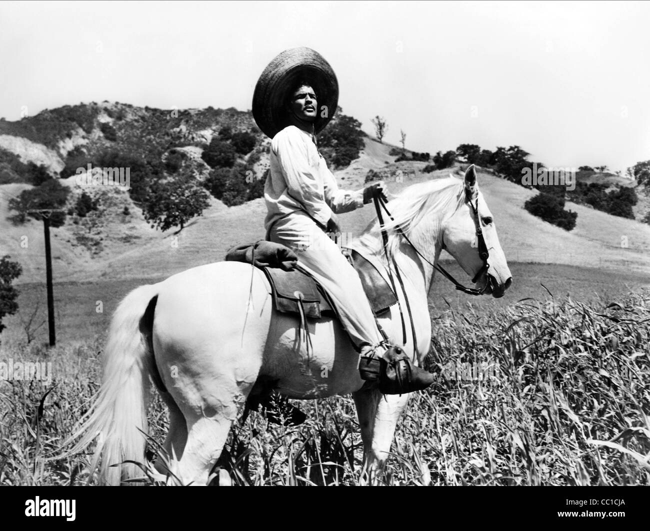 Emiliano zapata horse Black and White Stock Photos & Images Alamy