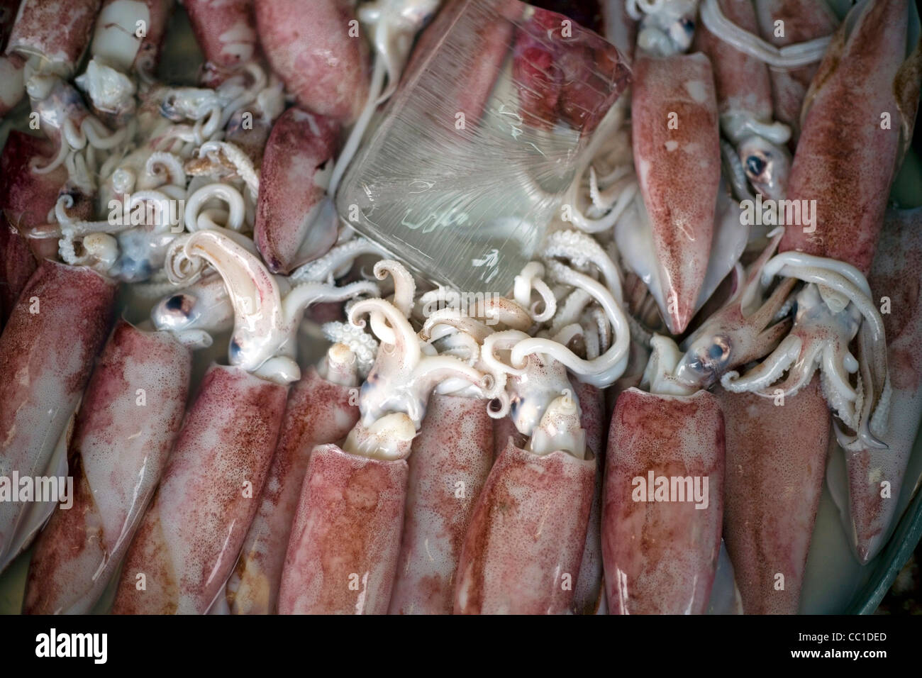 Squid on sale at the Ben Thanh Market, Ho Chi Minh City (formerly