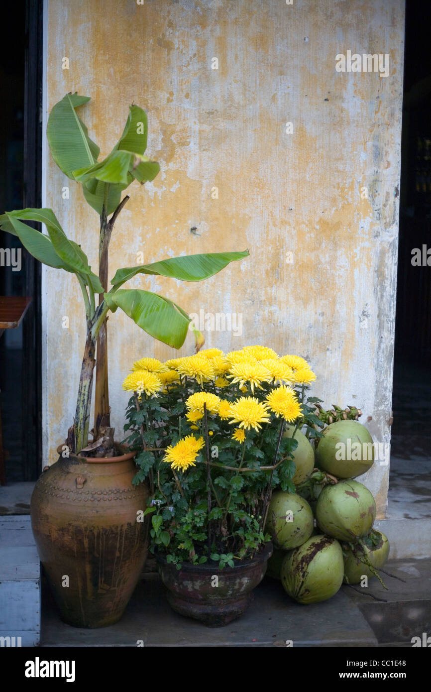 Flowers and coconuts outside a traditional house in Hoi An, Vietnam Stock Photo