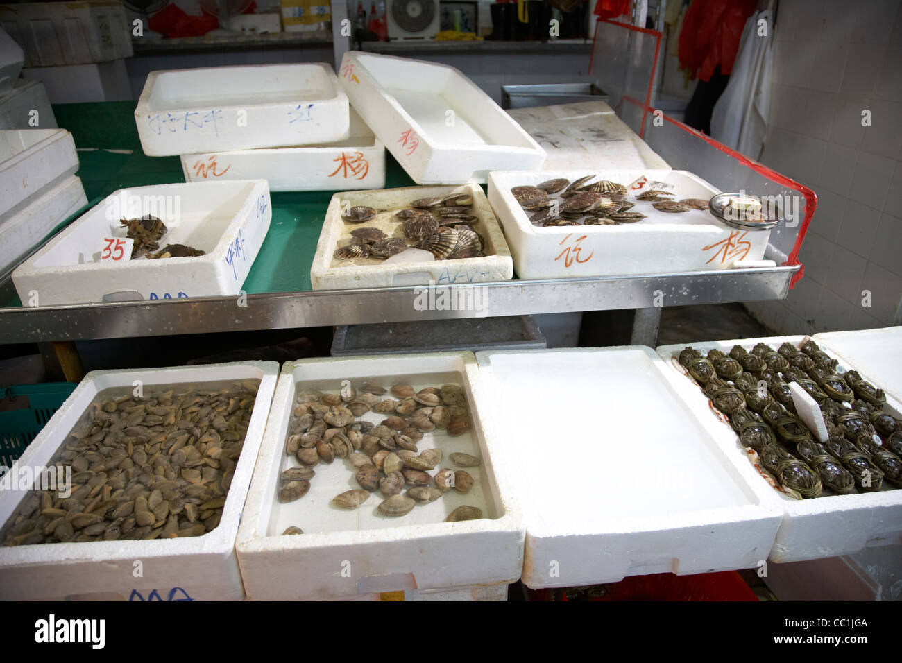 live shellfish and crabs for sale at yau ma tei indoor food market