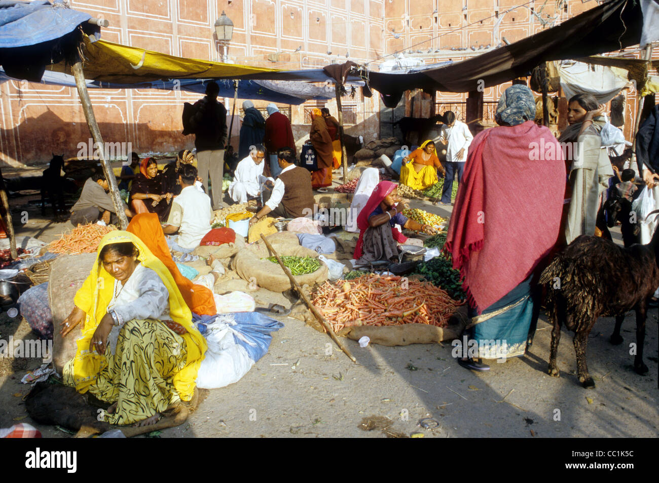 The market of Jaipur in Rajasthan, India Stock Photo Alamy