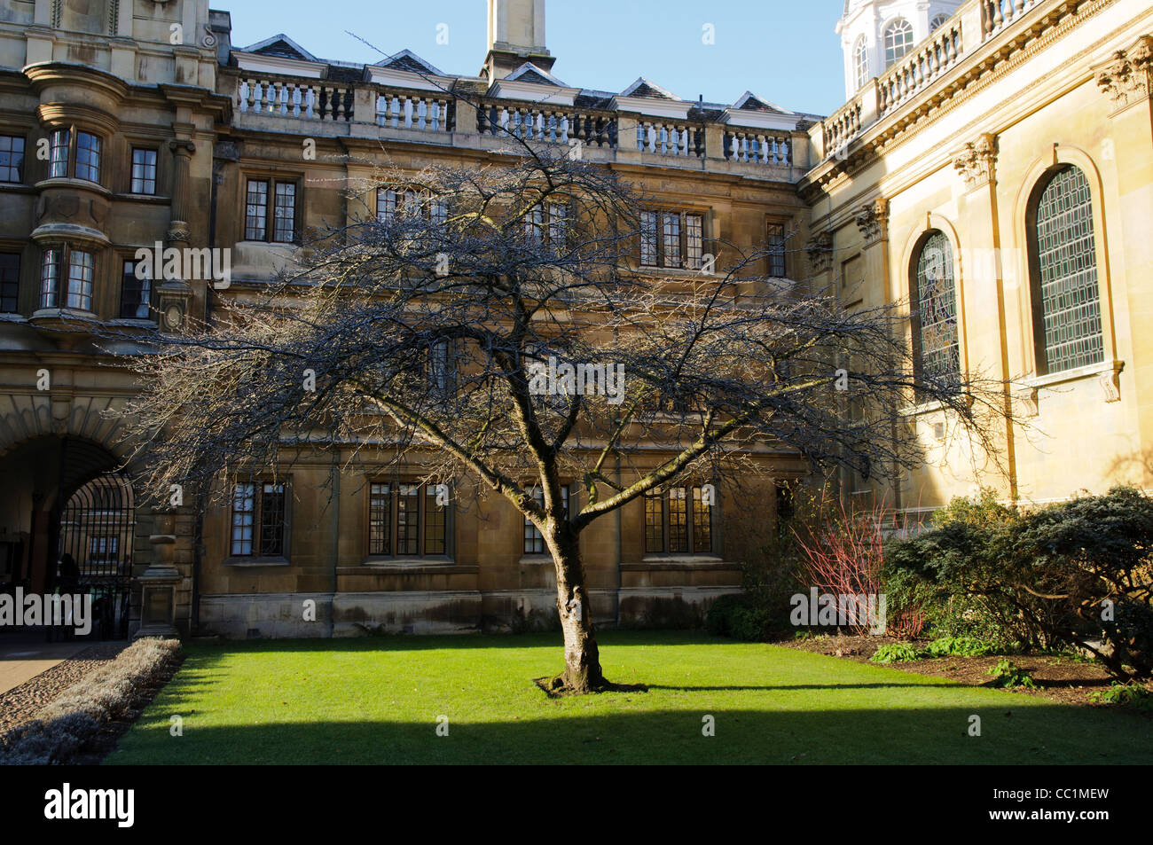 Courtyard of Clare College Stock Photo