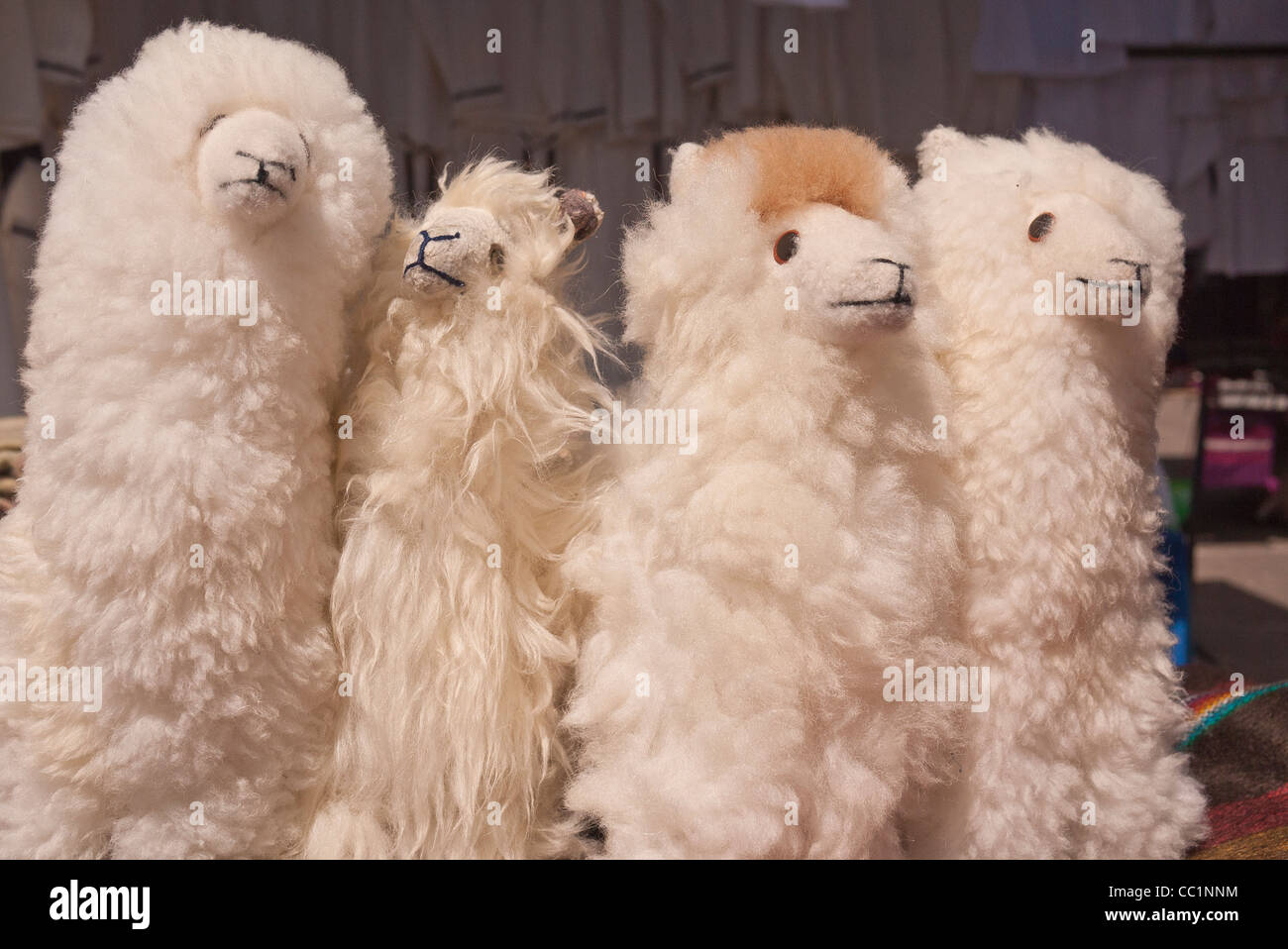 Llamas with cheap hats plush