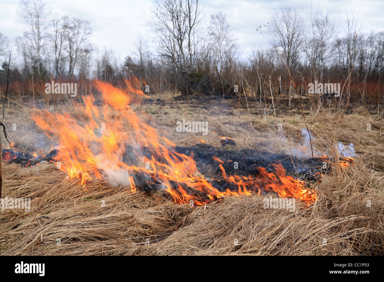 fire in herb Stock Photo Alamy
