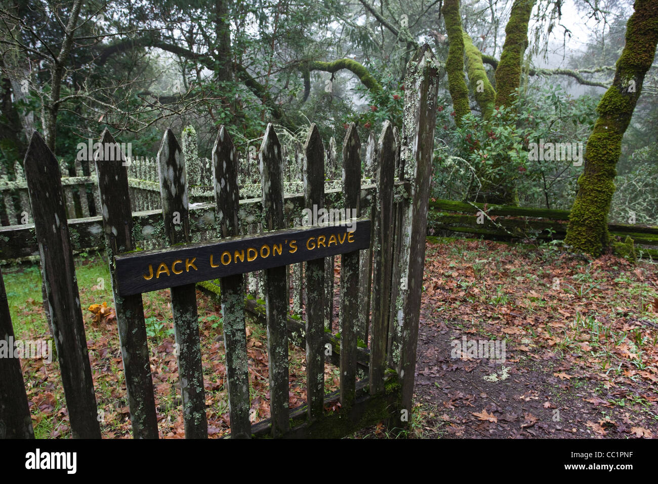 USA, California, Sonoma Wine Country, Glen Ellen, Jack London State