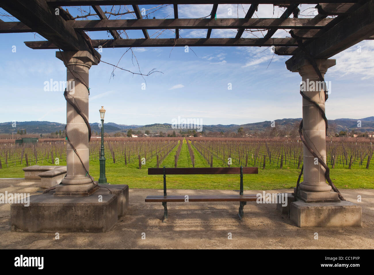 USA, California, Napa Valley Wine Country, Rutherford, Rubicon Estate