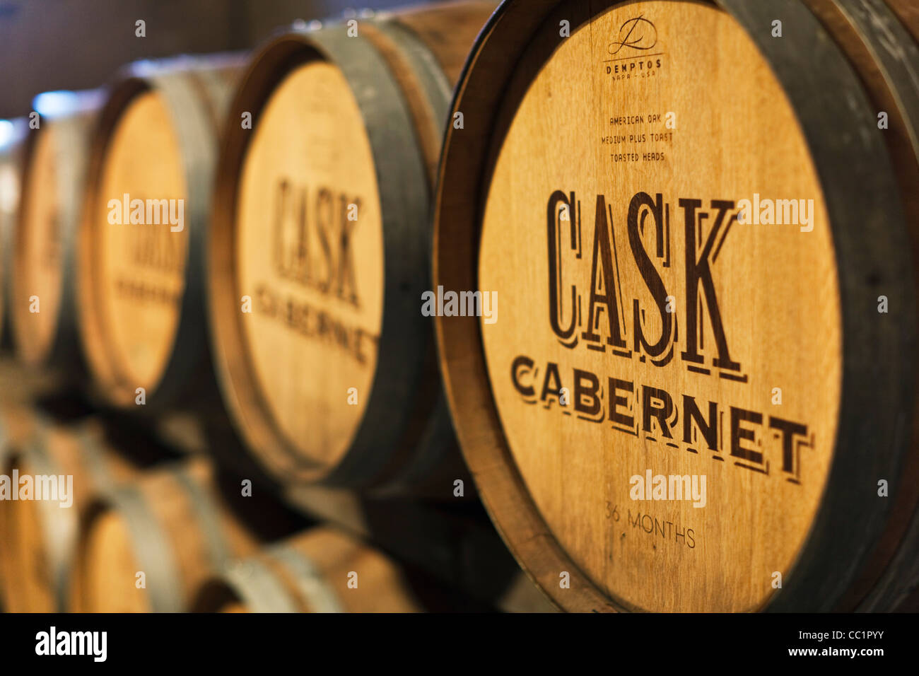 USA, California, Napa Valley Wine Country, Rutherford, Rubicon Vineyard