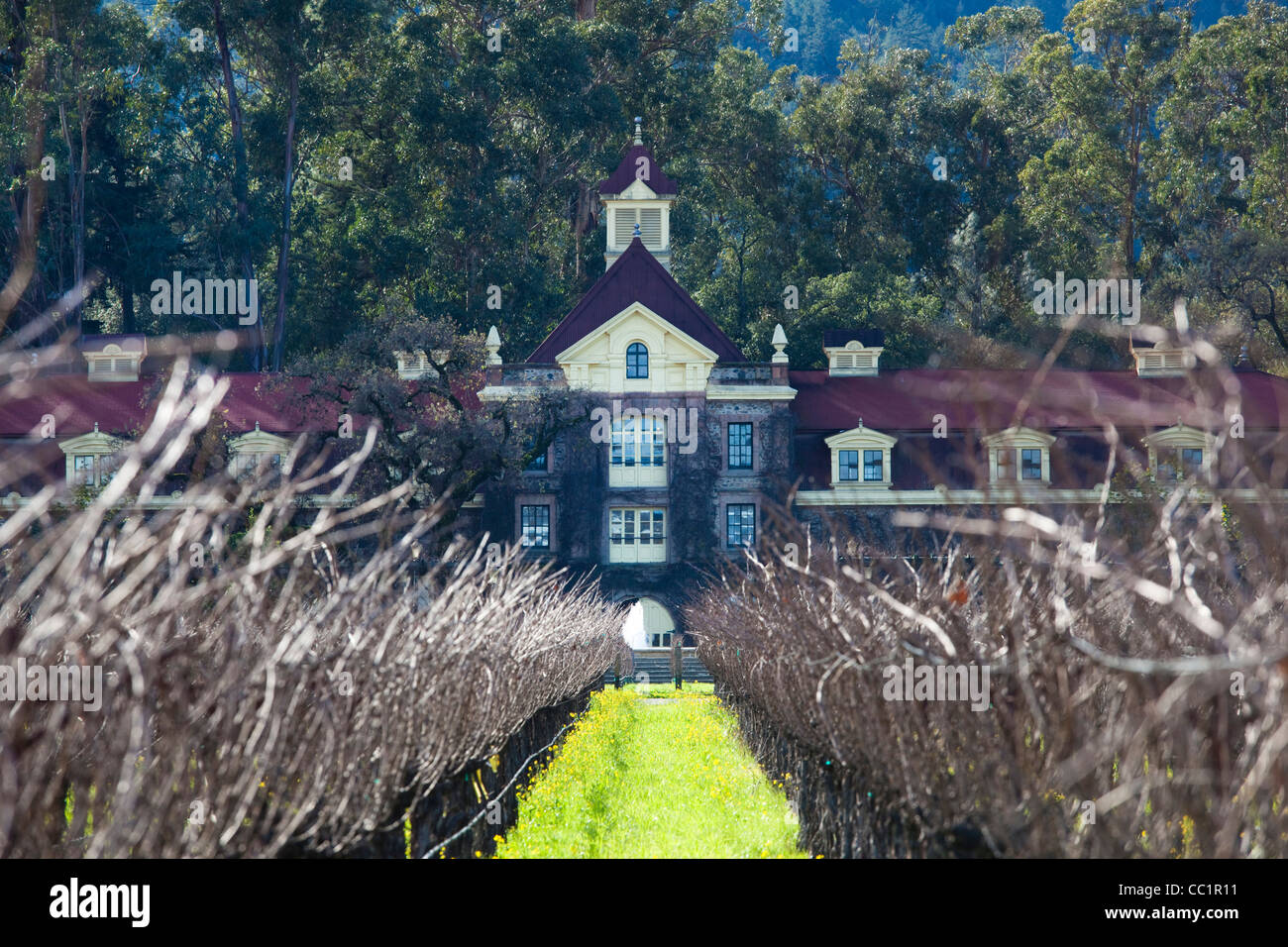 USA, California, Napa Valley Wine Country, Rutherford, Rubicon Estate
