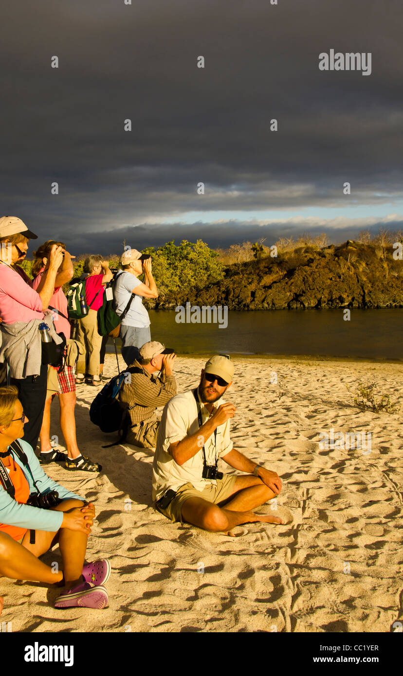 Tourists taking pictures at flamingo pond off Las Bachas Beach, Santa Cruz Island, Galapagos Islands, Ecuador Stock Photo