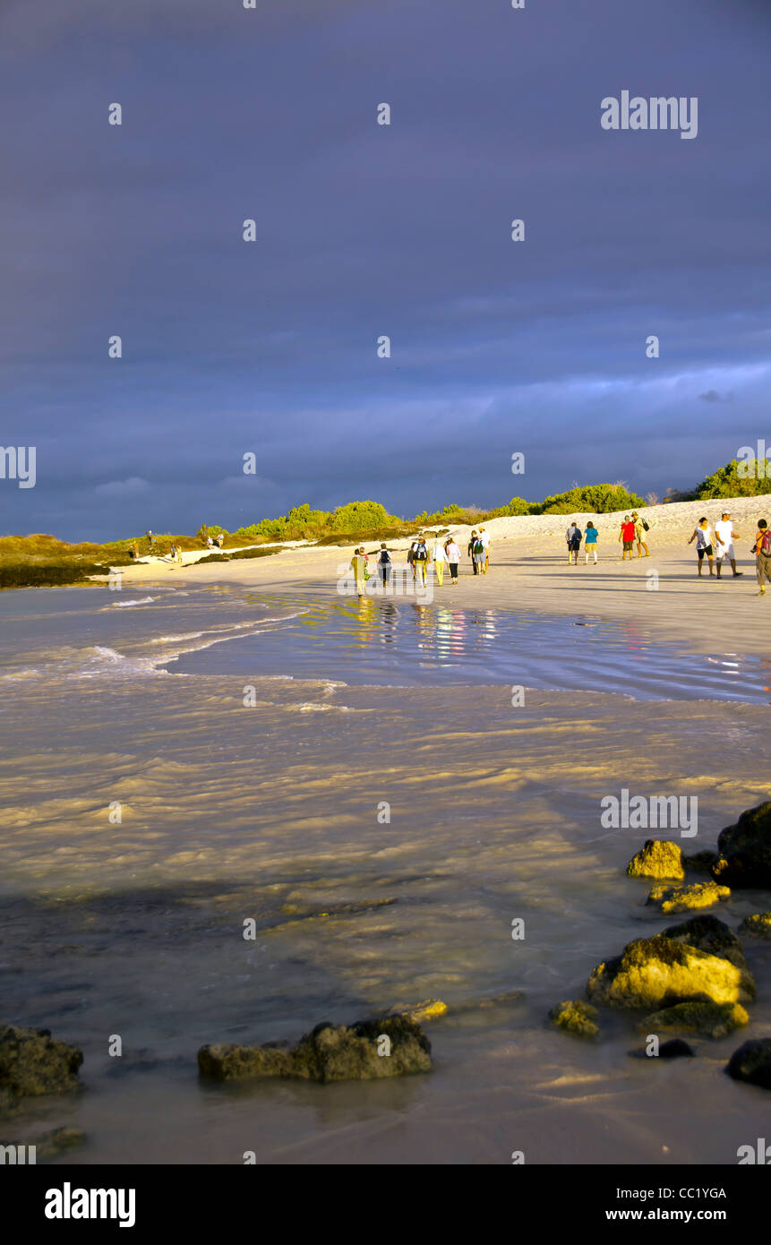 Tourists walking on Las Bachas Beach, Santa Cruz Island, Galapagos Islands, Ecuador Stock Photo