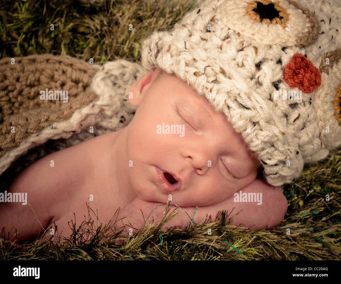 Newborn girl sleeping on a furry green blanket that looks like grass she has on a knit owl hat and cover. Stock Photo