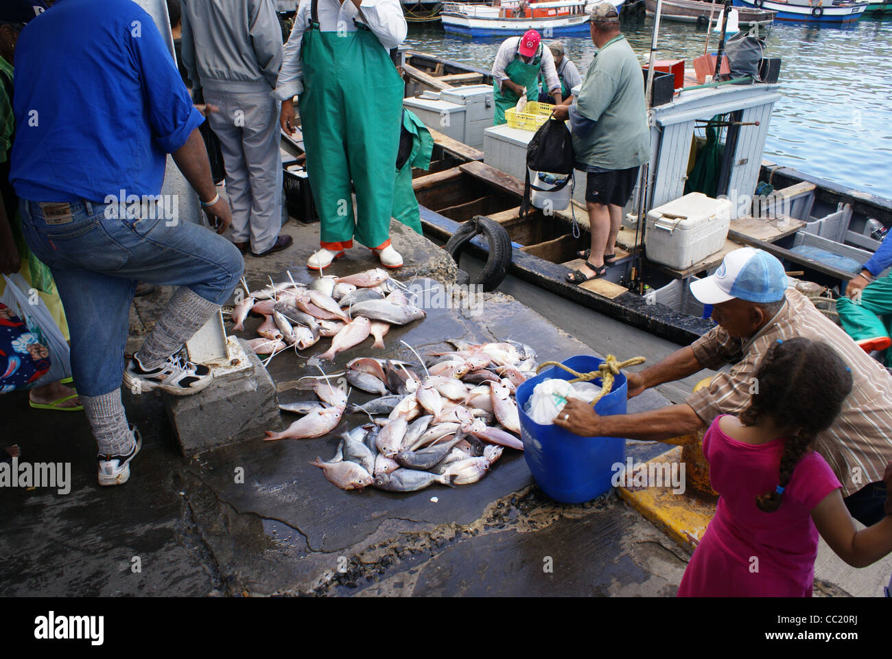 Fish Market, Kalk Bay Harbour Stock Photo