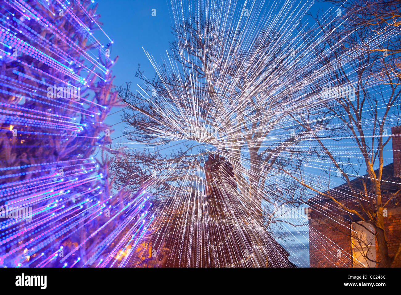 A tree decorated with lights for Christmas in East Boldon, North East