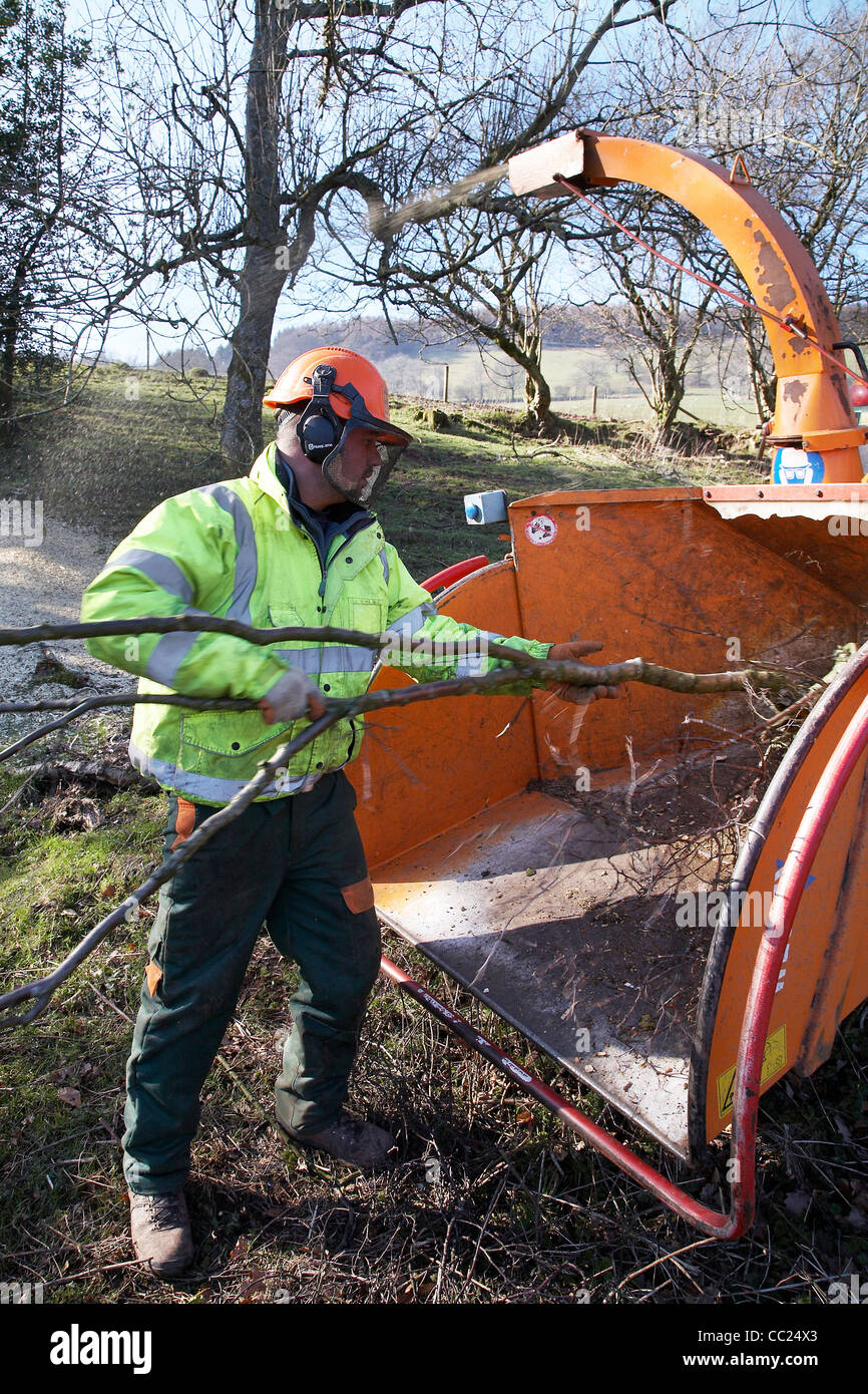 Shredding trees hires stock photography and images Alamy