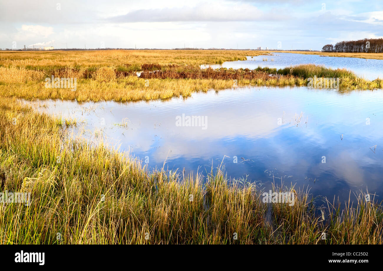 Blue sky reflected in pond hi-res stock photography and images - Alamy