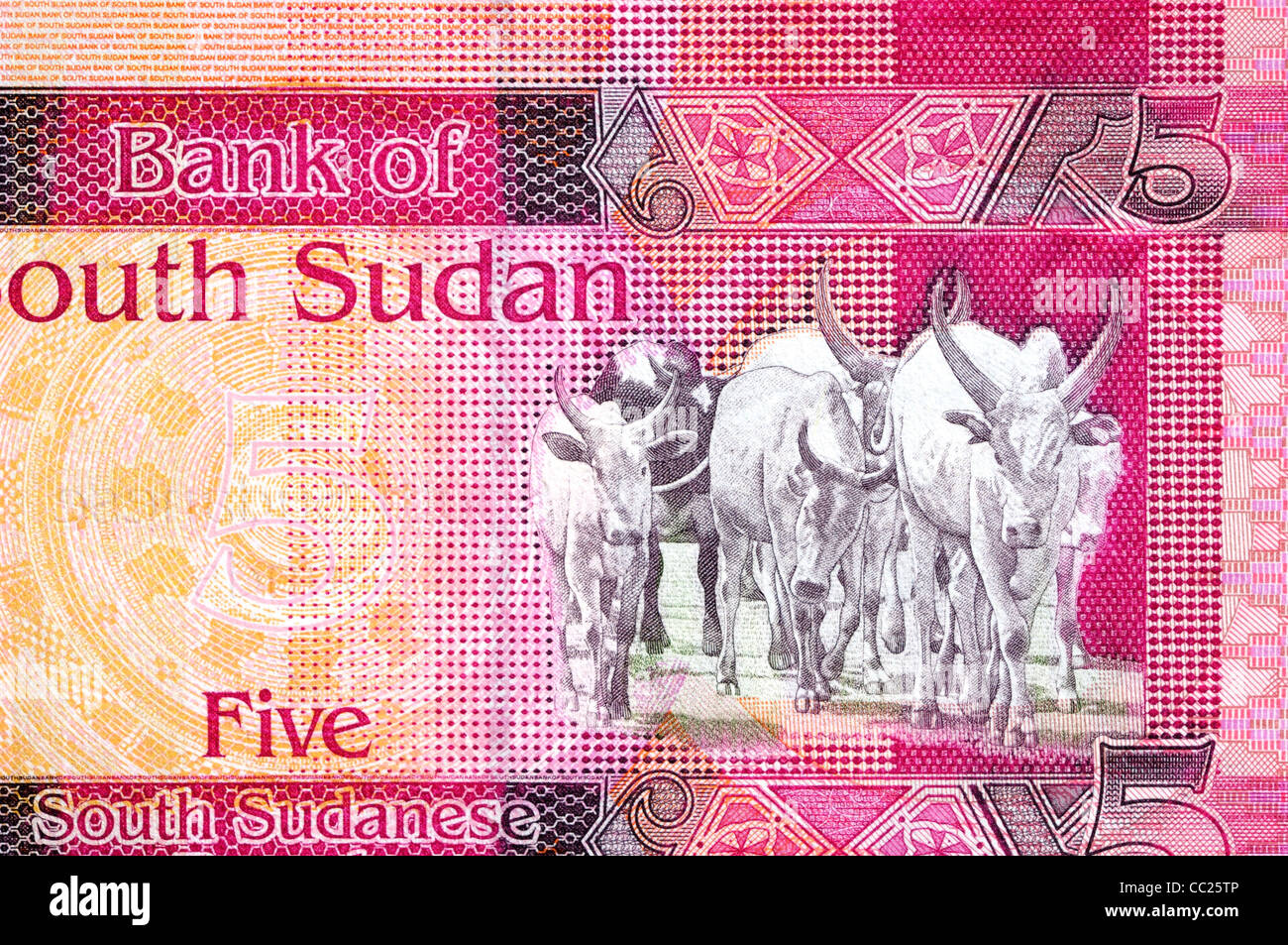 South Sudan 5 Five Pound Bank Note. Stock Photo