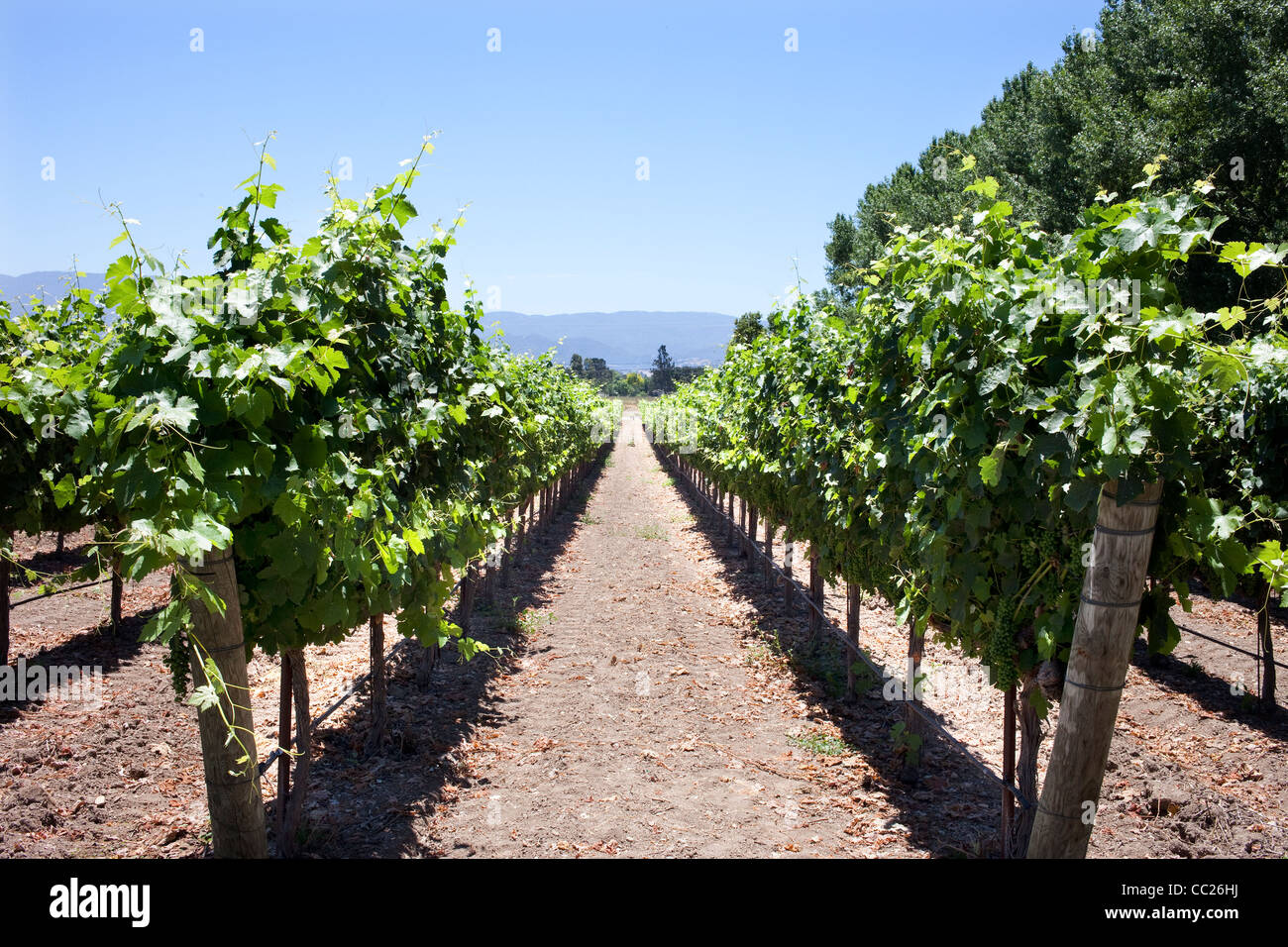 Sunstone Vineyards and Winery located 30 minutes north of Santa Barbara in the Santa Ynez Valley Stock Photo