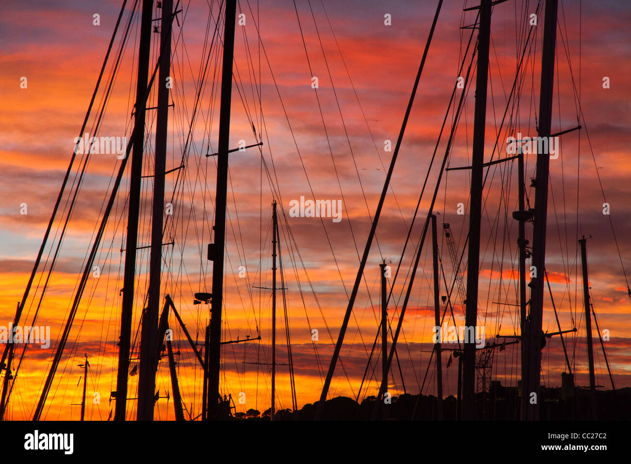 Sailboats masts on orange sunset sky Stock Photo - Alamy
